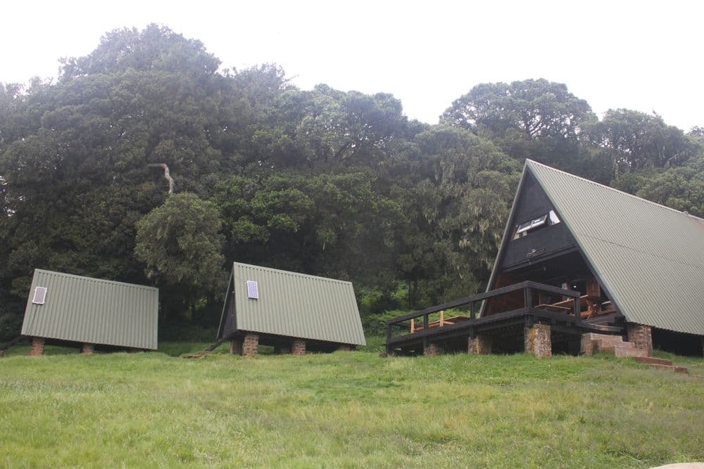 Kilimanjaro National Park - Photo 2