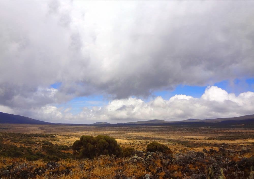 Kilimanjaro National Park - Photo 3