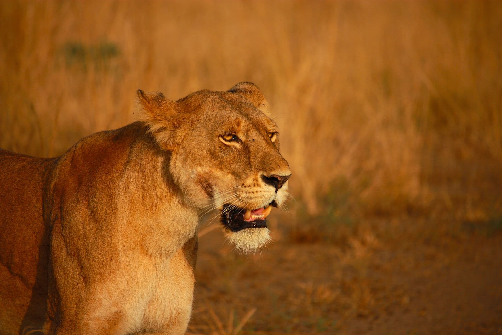 Serengeti National Park