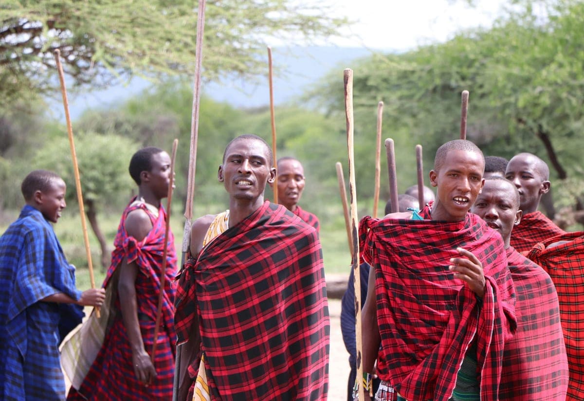 Ngorongoro Crater - Photo 2