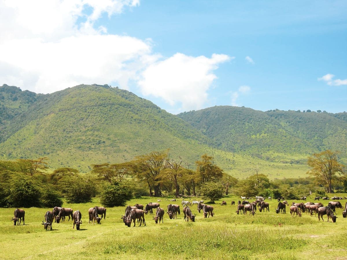 Tarangire National Park - Photo 1