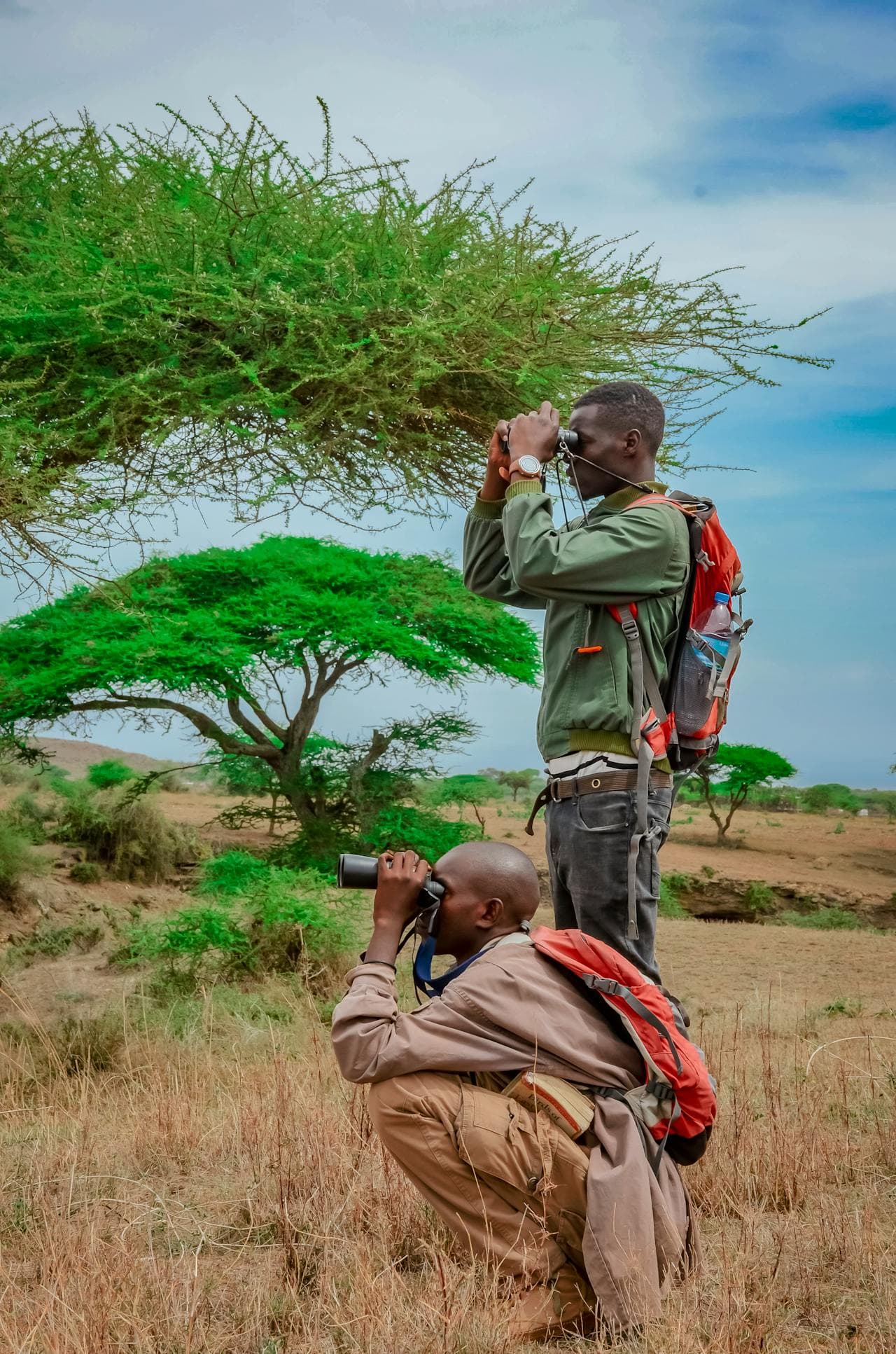 Tarangire National Park - Photo 4