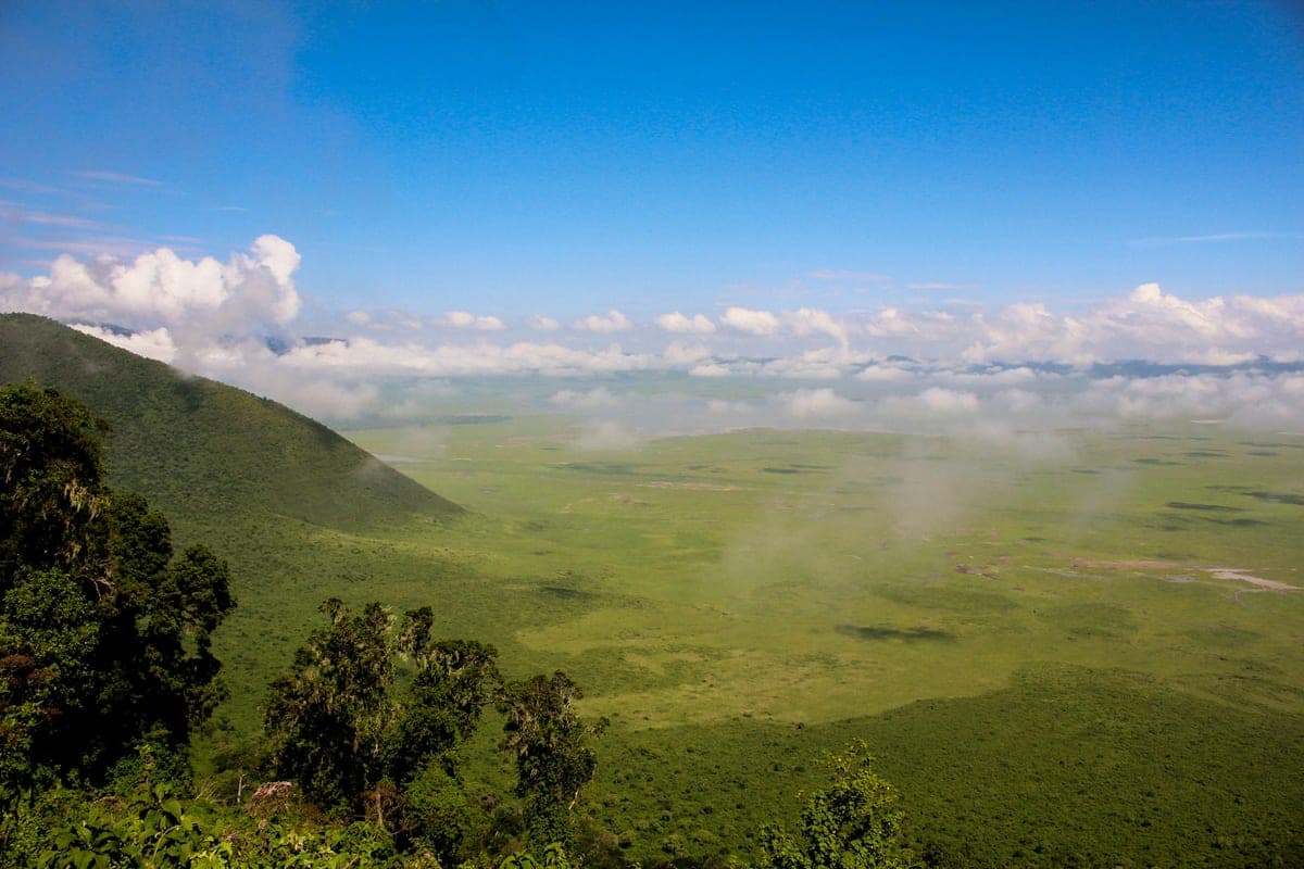 7-Day Private Luxury Serengeti Wildebeest Migration Tour - Photo 4